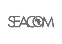 NETLAYER provides Seacom Fibre